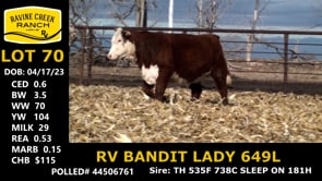 Lot #70 - RV BANDIT LADY 649L