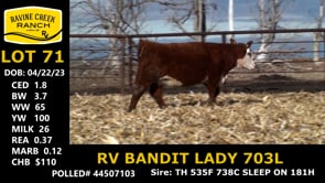 Lot #71 - RV BANDIT LADY 703L