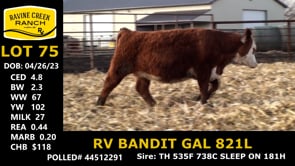 Lot #75 - RV BANDIT GAL 821L