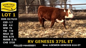 Lot #1 - RV GENESIS 375L ET