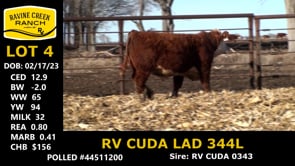 Lot #4 - RV CUDA LAD 344L