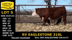Lot #5 - RV EAGLESTONE 310L