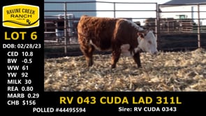 Lot #6 - RV 043 CUDA LAD 311L