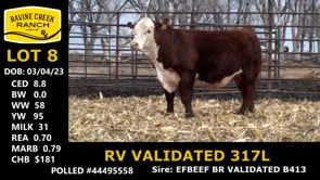 Lot #8 - RV VALIDATED 317L