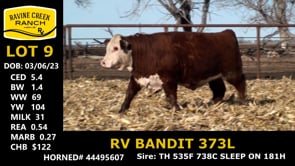 Lot #9 - RV BANDIT 373L
