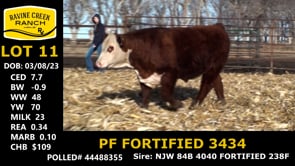 Lot #11 - PF FORTIFIED 3434