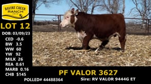 Lot #12 - PF VALOR 3627