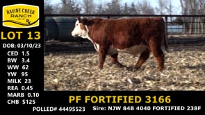 Lot #13 - PF FORTIFIED 3166