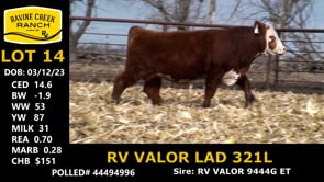 Lot #14 - RV VALOR LAD 321L