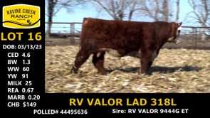 Lot #16 - RV VALOR LAD 318L