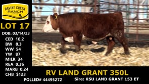 Lot #17 - RV LAND GRANT 350L