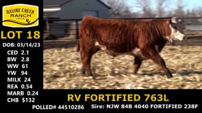 Lot #18 - *** OUT *** RV FORTIFIED 763L