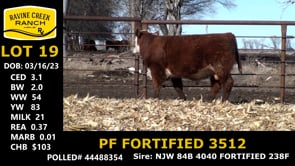 Lot #19 - PF FORTIFIED 3512