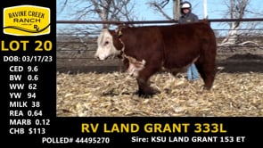 Lot #20 - RV LAND GRANT 333L