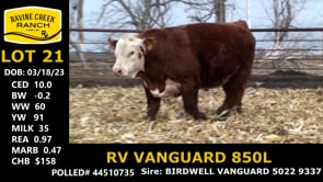 Lot #21 - RV VANGUARD 850L