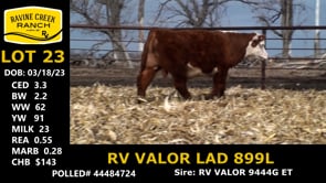 Lot #23 - RV VALOR LAD 899L