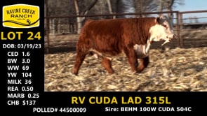 Lot #24 - RV CUDA LAD 315L
