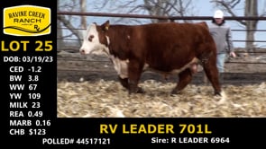 Lot #25 - RV LEADER 701L