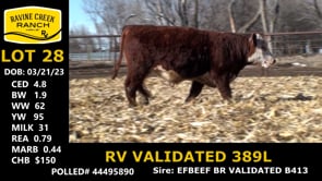 Lot #28 - RV VALIDATED 389L