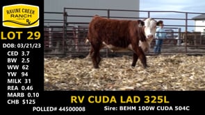 Lot #29 - RV CUDA LAD 325L