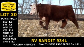 Lot #30 - RV BANDIT 934L