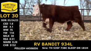Lot #30 - RV BANDIT 934L