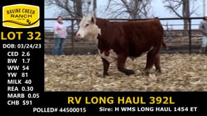 Lot #32 - RV LONG HAUL 392L