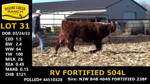 Lot #31 - RV FORTIFIED 504L