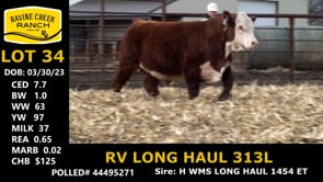 Lot #34 - RV LONG HAUL 313L