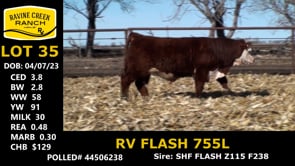 Lot #35 - RV FLASH 755L