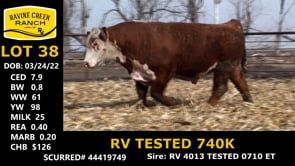 Lot #38 - RV TESTED 740K