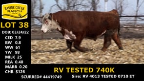Lot #38 - RV TESTED 740K