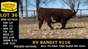Lot #36 - RV BANDIT 911K