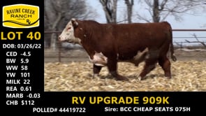 Lot #40 - RV UPGRADE 909K