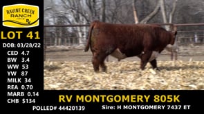 Lot #41 - RV MONTGOMERY 805K