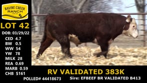 Lot #42 - RV VALIDATED 383K