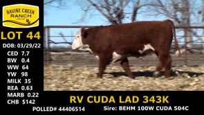 Lot #44 - RV CUDA LAD 343K