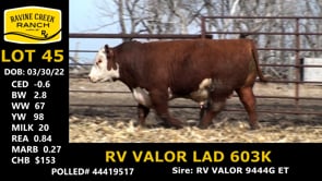 Lot #45 - RV VALOR LAD 603K