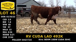 Lot #46 - RV CUDA LAD 492K