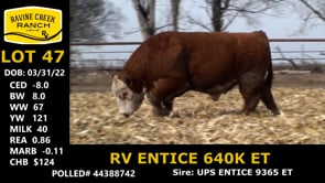 Lot #47 - RV ENTICE 640K ET
