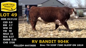 Lot #49 - RV BANDIT 904K