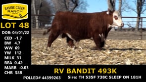 Lot #48 - RV BANDIT 493K