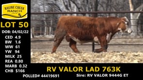 Lot #50 - RV VALOR LAD 763K