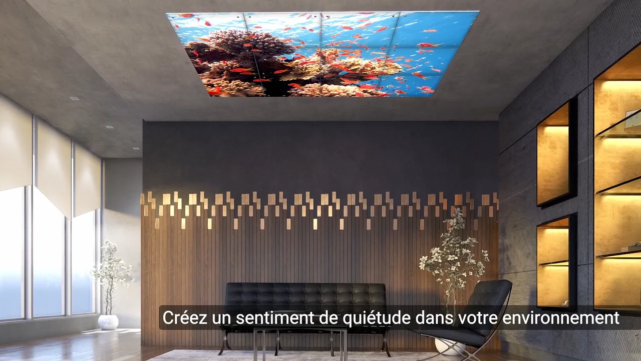 Tranquility | Axis Lighting