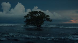 Natura - Neuf Cinq Films - Essential Costa Rica, Cirque Du Soleil