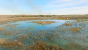 Fish Restocked at the Lake Waco Wetlands