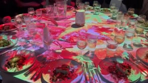 VID-20240225-WA0005.mp4