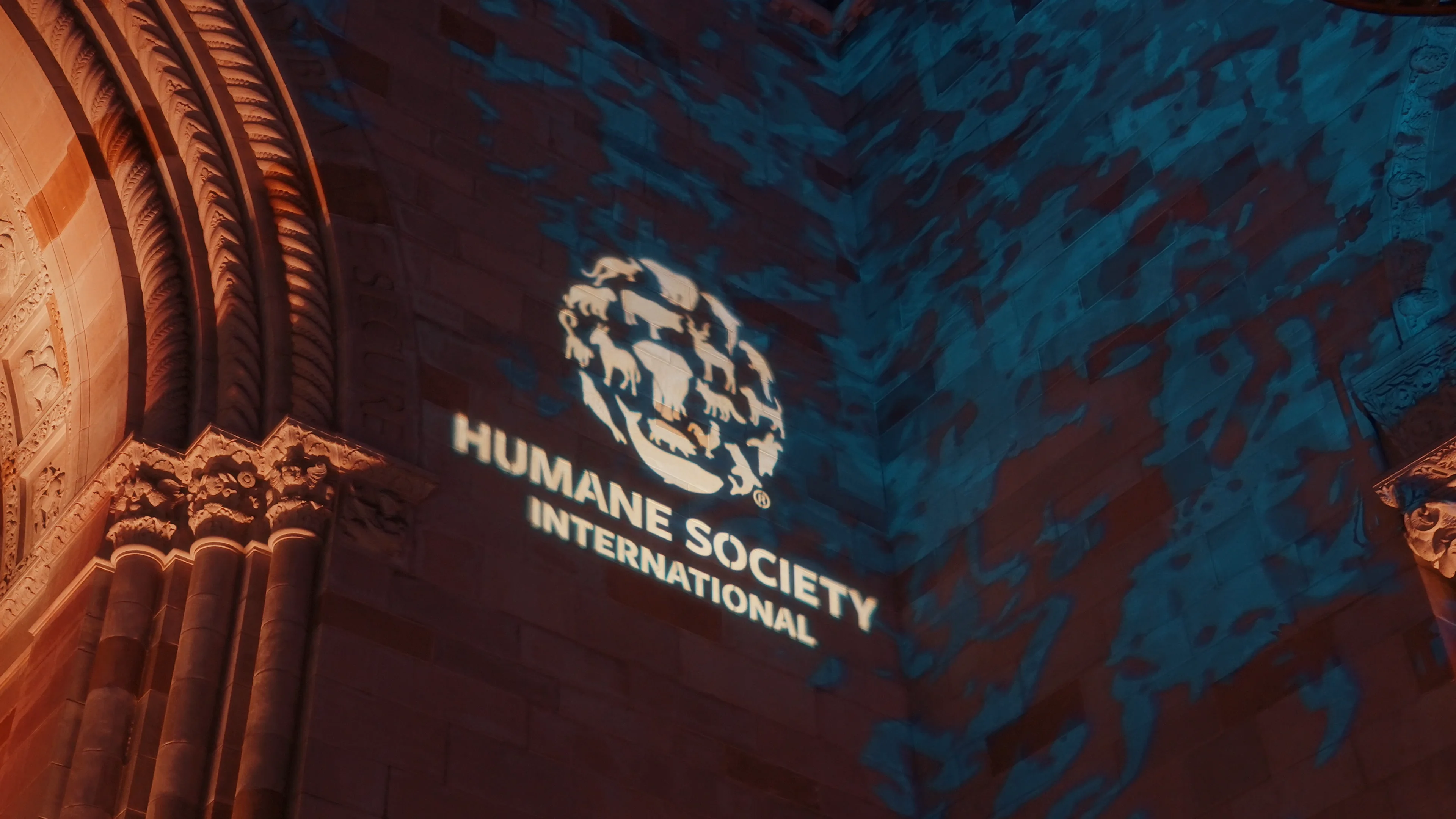 The Humane Society International_To The Rescue! Gala_(12.2023)_2 on Vimeo