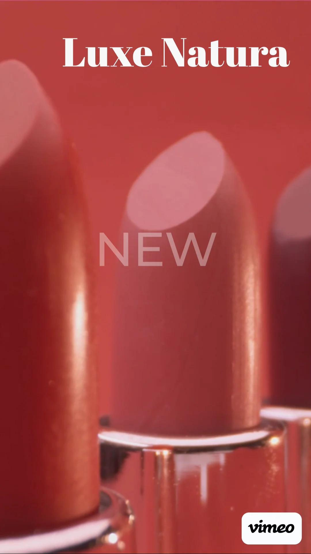 Bold New Colors on Vimeo