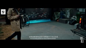 Protect pangolins. - Xianxin (Beijing) production . LLC - WWF